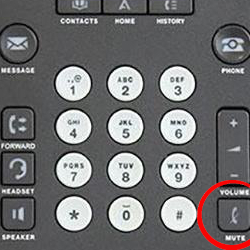 Avaya 1600 & 9600 Desk IP Phones Compatible Call center headsets